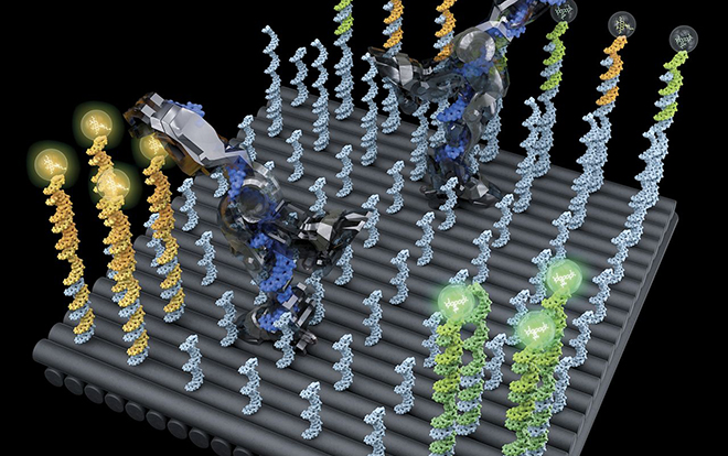 新发明：这个DNA机器人能分拣货物