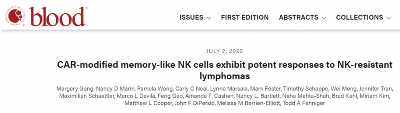 抗癌新技术——CAR-ML NK细胞疗法
